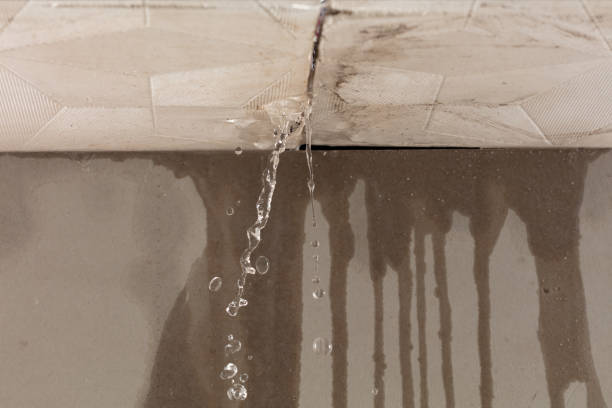 Professional Structural Drying technician working in Miller City, OH